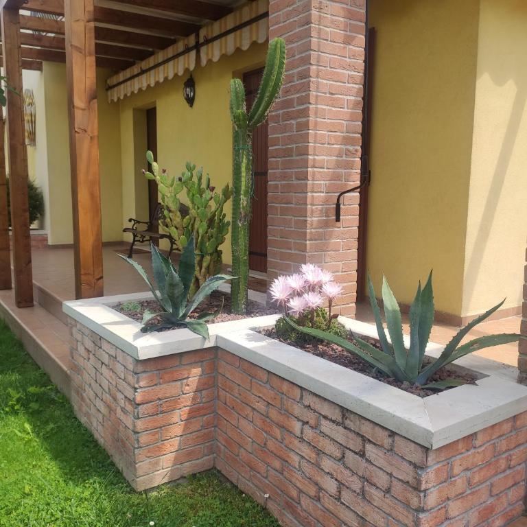 Wilma House - Casa con 3 Camere da Letto - 8