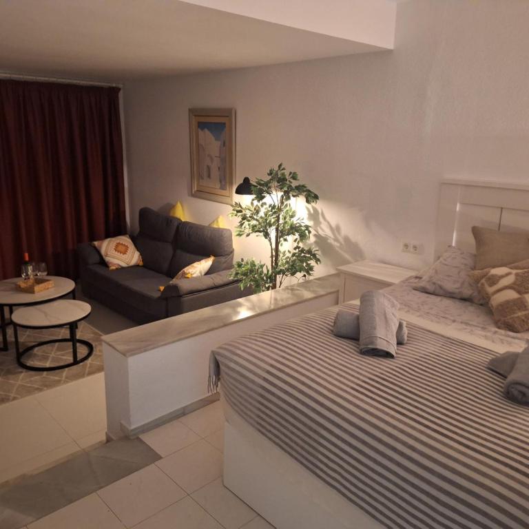 Sunny Miraflores Retreat - Apartamento de 1 dormitorio - 5