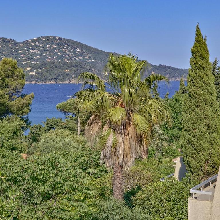 La Pinède - Small 2 bedroom sea view - with swimming pool - Appartamento con 2 Camere da Letto - 19