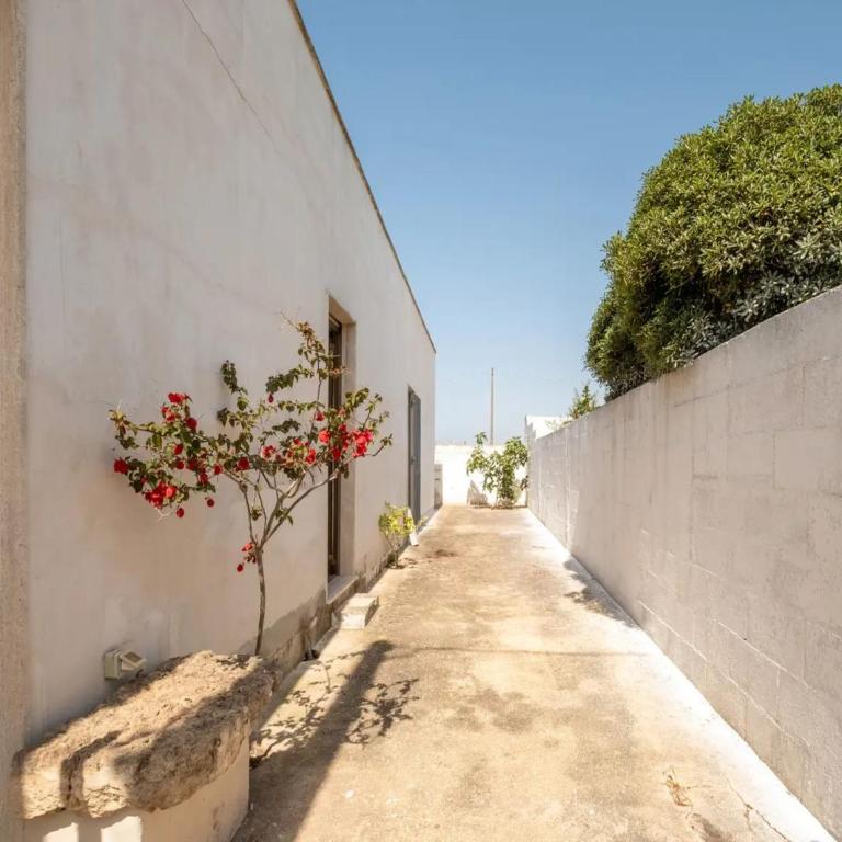 Charming Italian Villa in Torre Castiglione with Private Entrance - Villa - 19