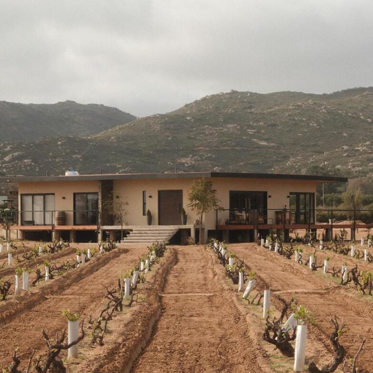 Casa Maul Valle de Guadalupe - Deluxe Villa - 1