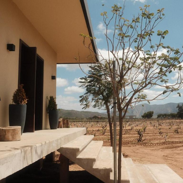 Casa Maul Valle de Guadalupe - Deluxe Villa - 7