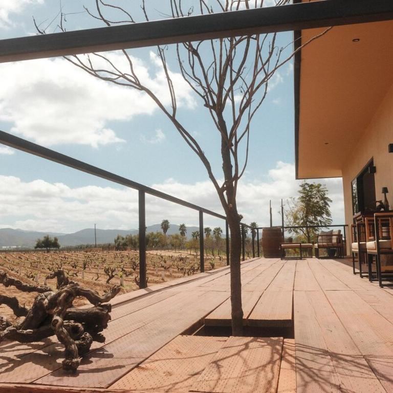 Casa Maul Valle de Guadalupe - Deluxe Villa - 40