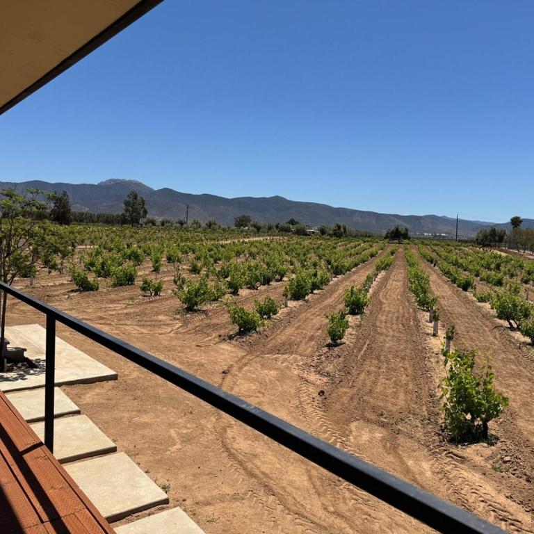 Casa Maul Valle de Guadalupe - Deluxe Villa - 45