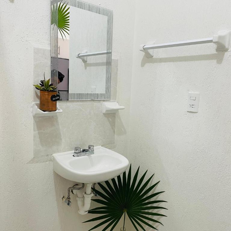 Charming Apartment - Aldea Tulum 2 Bedrooms - Apartamento de 2 dormitorios - 42