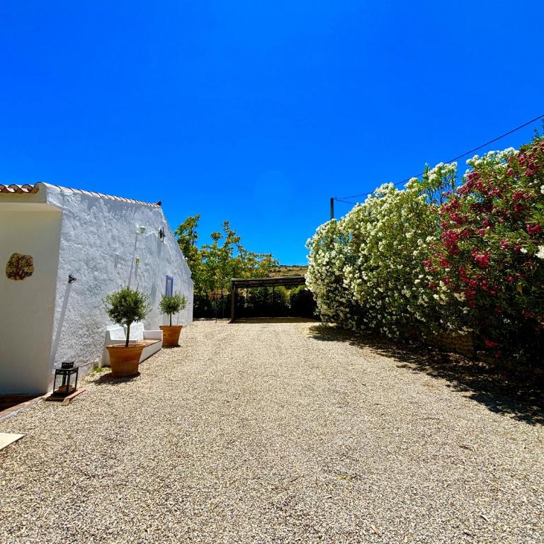 Los Olivos - Casa - 30