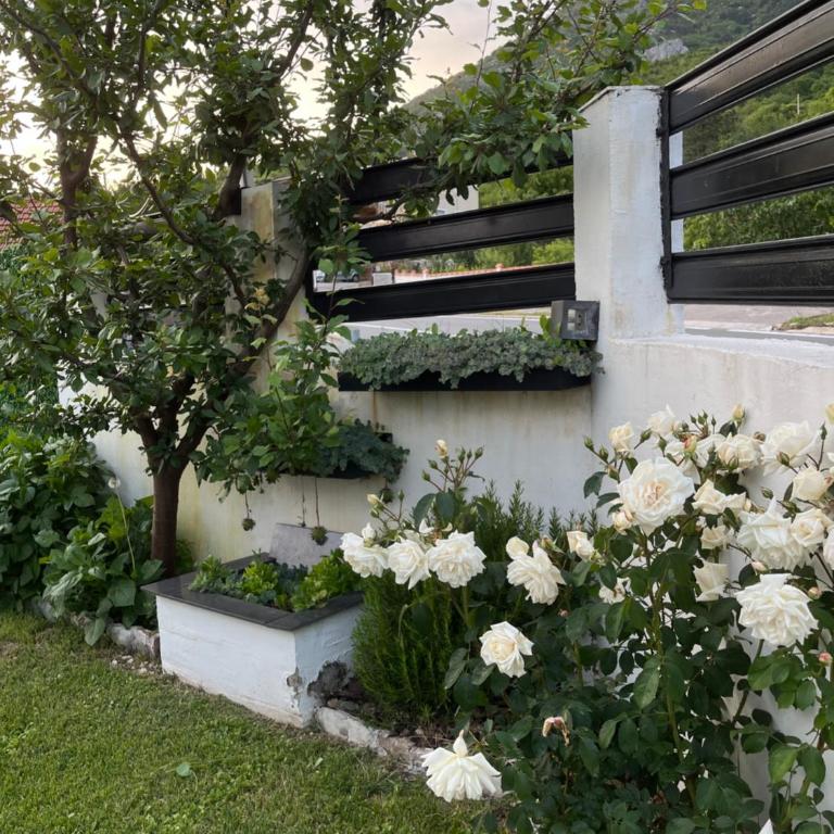 Tara Lapčići Budva - Vila sa 2 Spavaće Sobe - 34