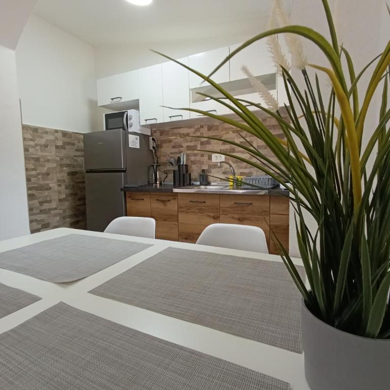 Sayohat Apartments - Apartment with Terrace - 22