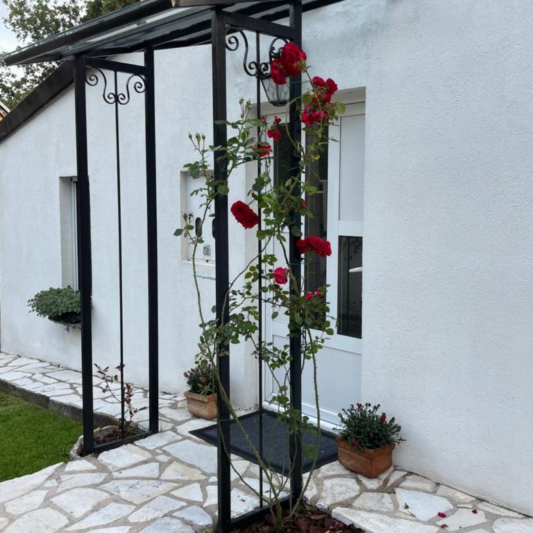 Tara Lapčići Budva - Vila sa 2 Spavaće Sobe - 25