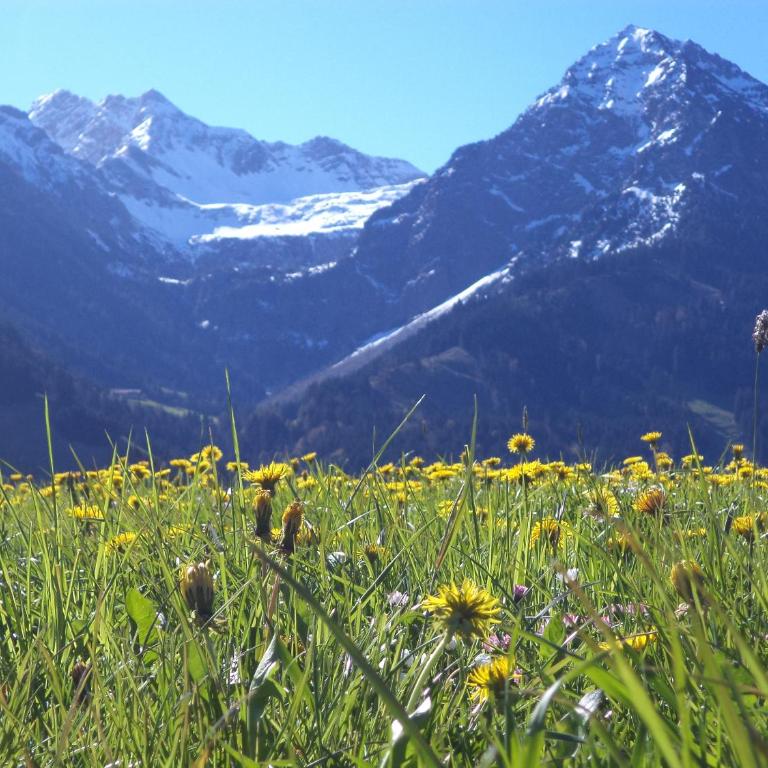 Uschi's Steinröschen mit Hallenbad und Sauna - Apartment mit Blick auf die Berge - 18