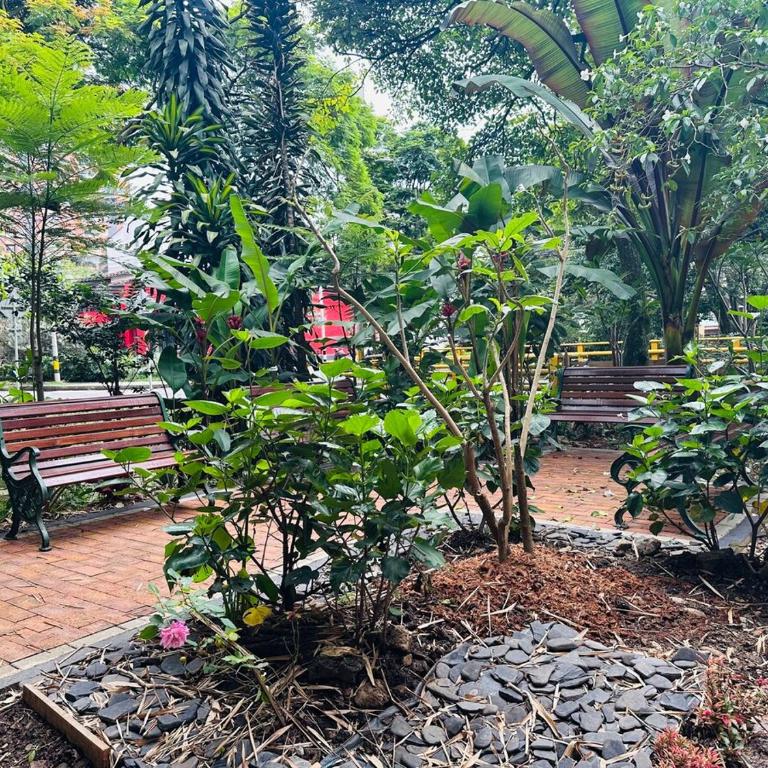 apartamento 5 minuto parque del poblado caminando - Apartamento de 1 dormitorio - 4