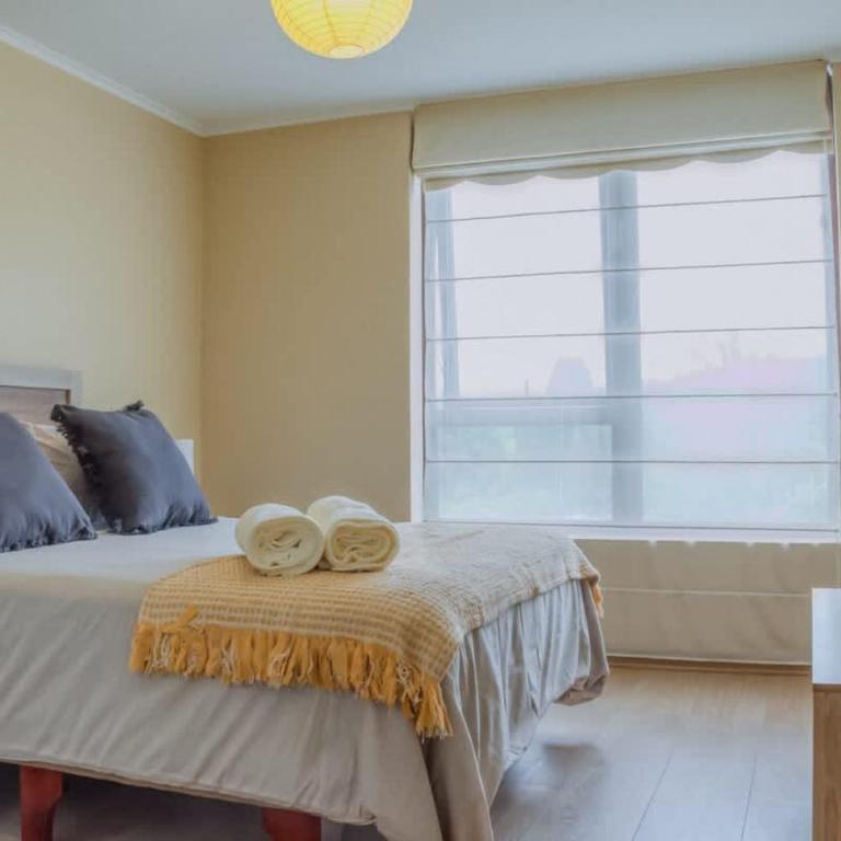 HT Villarrica Espectacular Depto en Costanera Villarrica 4PAX - Apartamento - 12