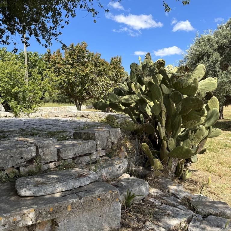 Trulli Donna Gina - Vacation Home - 4