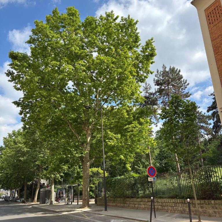 Cozy Studio Ideally Located - Appartement 1 Chambre - 2