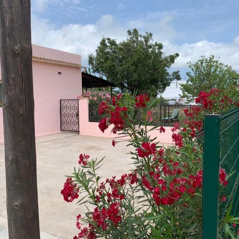 Casita Flamingo - Three-Bedroom House - 4