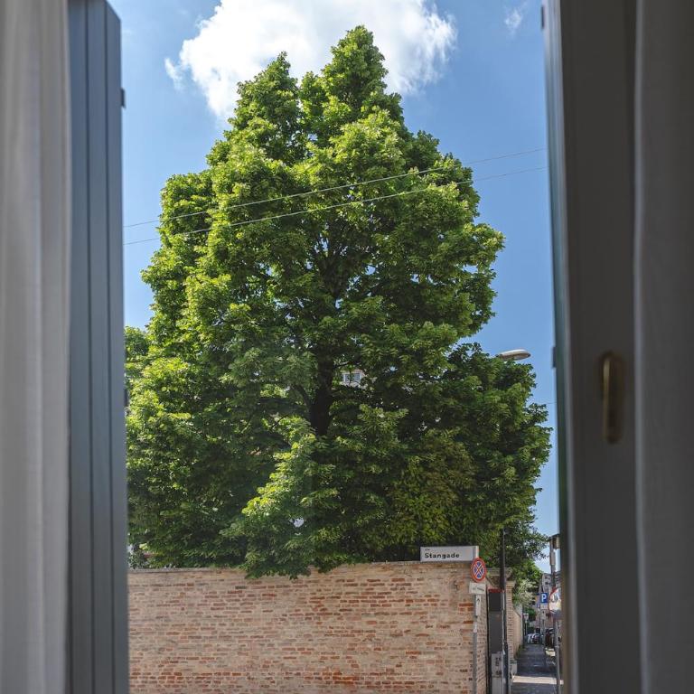 Treviso House - Appartamento Superior con 1 Camera da Letto - 54