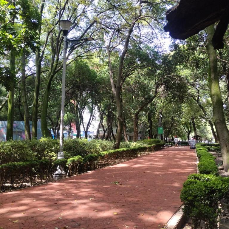 Piso 9 Condesa - One-Bedroom Apartment - 33