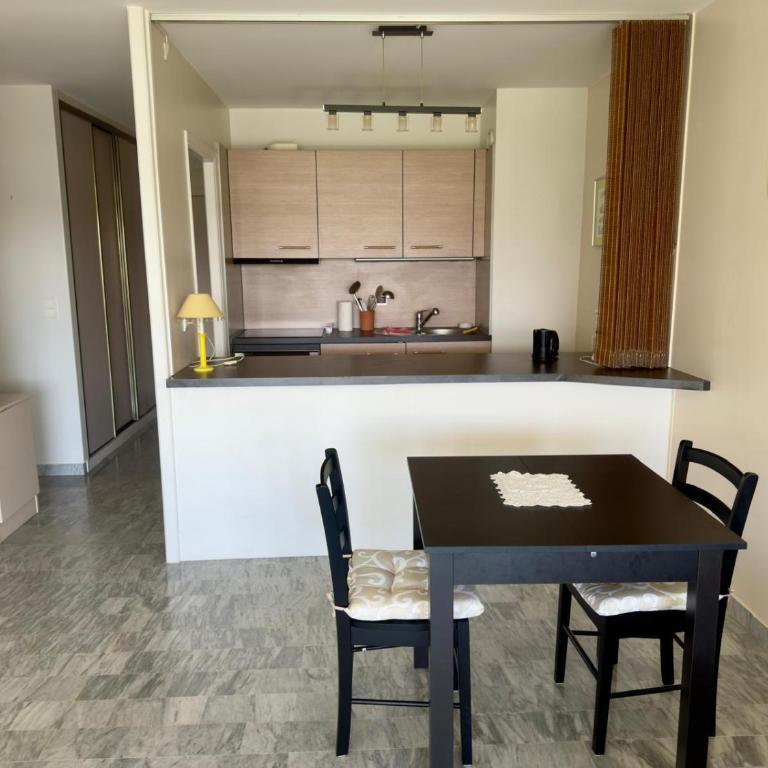 Beau studio proche des plages piscine - One-Bedroom Apartment - 6