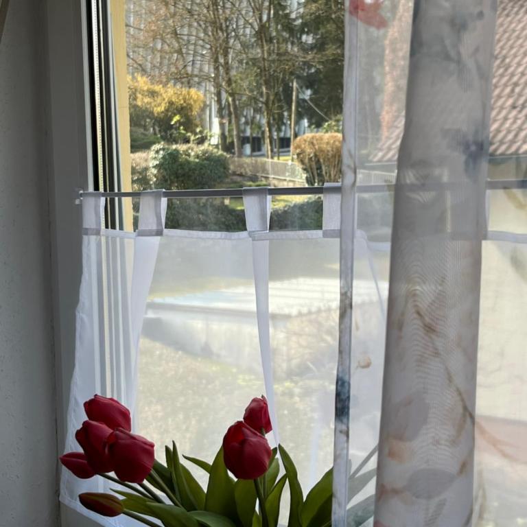 Adagio-Linz Pöstlingberg - Apartment mit 2 Schlafzimmern und Aussicht - 15