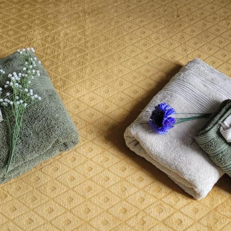Les Volets Bleus - Au Calme avec petit Jardin et Patio - 3 appartements - Appartement 1 Chambre - 10