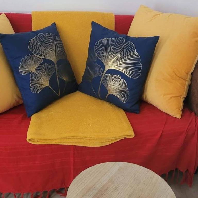 Les Volets Bleus - Au Calme avec petit Jardin et Patio - 3 appartements - Appartement - Rez-de-Chaussée - 1