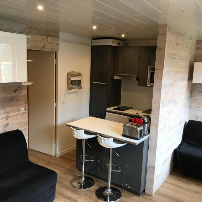 Studio rénové à Pra-Loup pour 4 pers proche station - FR-1-165A-199 - Studio - 2
