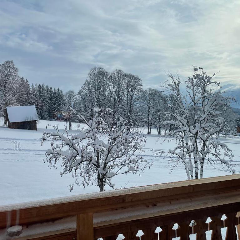 Haus Bernhard - Apartment mit Blick auf die Berge - 9