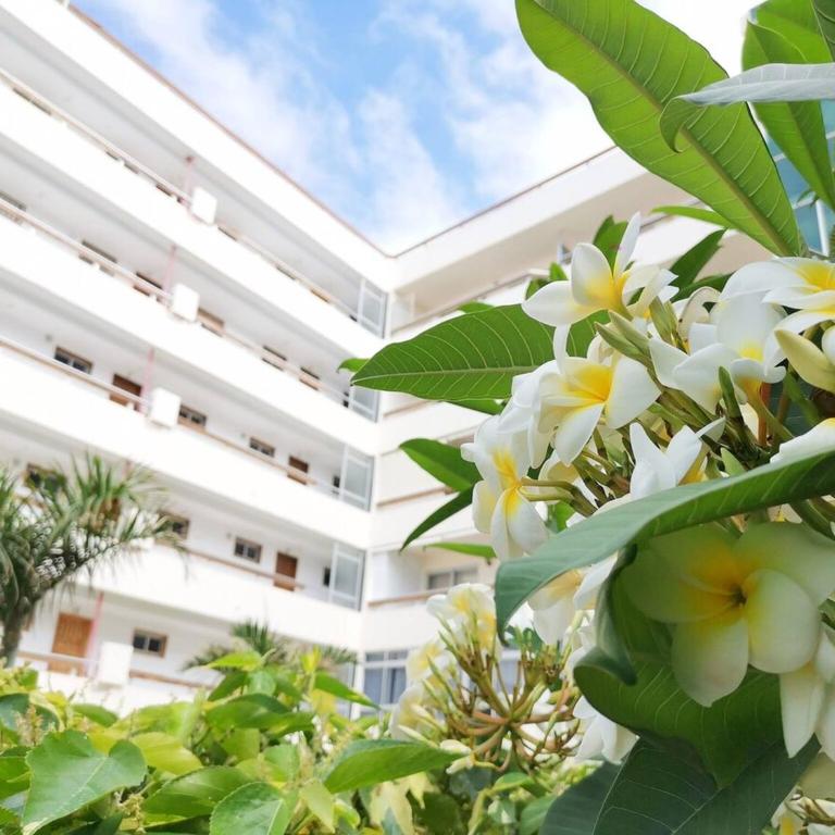 Las Camelias 215 By Pride Holiday Rentals - Apartamento de 1 dormitorio - 8