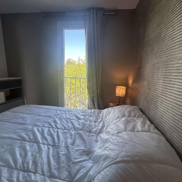 Appt Deux pièces 4 couchages CAP D'AGDE CT455-146 - Apartment mit 1 Schlafzimmer - 11