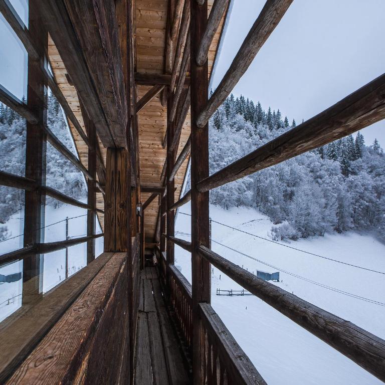 Chalet Drozin - PORTES DU SOLEIL 23 pers - Chalet - 86