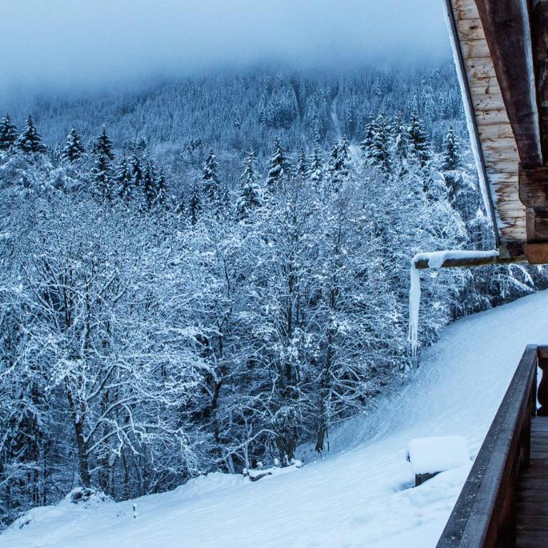 Chalet Drozin - PORTES DU SOLEIL 23 pers - Chalet - 91