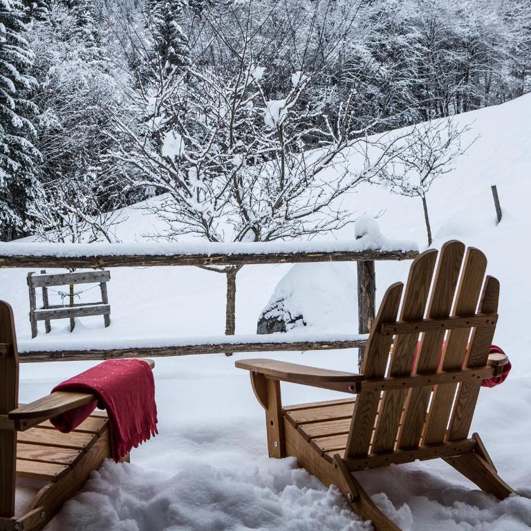 Chalet Drozin - PORTES DU SOLEIL 23 pers - Chalet - 93