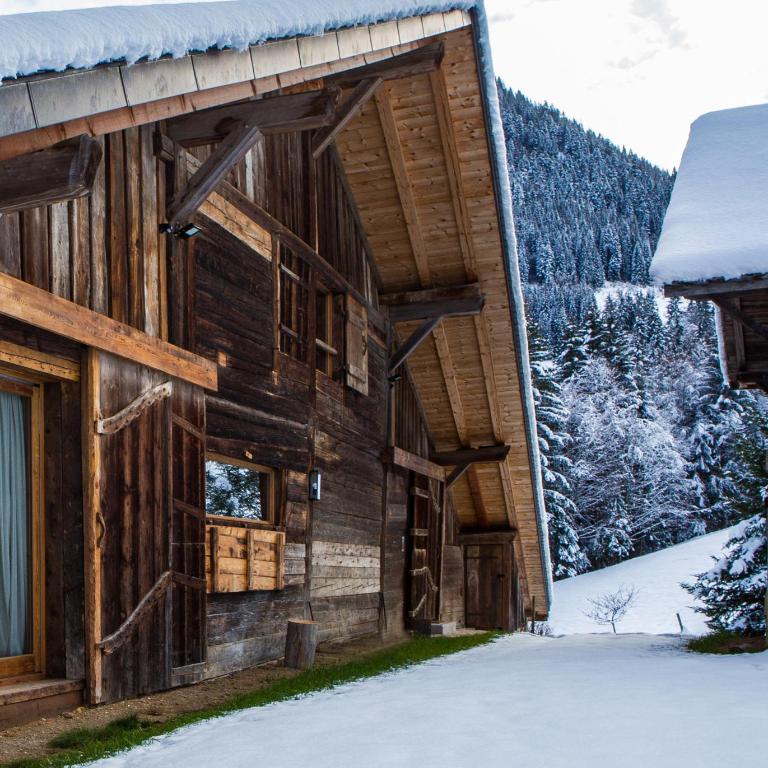 Chalet Drozin - PORTES DU SOLEIL 23 pers - Chalet - 90