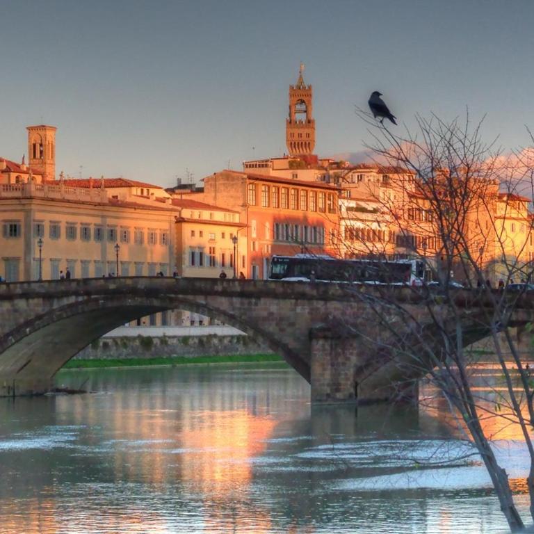 DaLu Florence apartment Davide - private car park 15 minutes to the city center - Appartamento - Piano Terra - 62