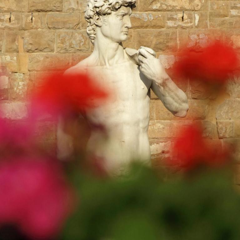 DaLu Florence apartment Davide - private car park 15 minutes to the city center - Appartamento - Piano Terra - 63