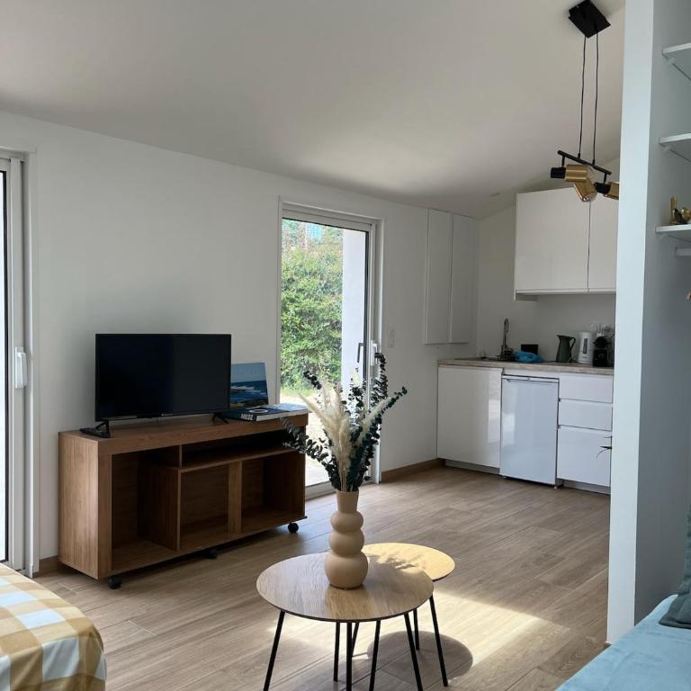 Studio neuf avec Terasse Jardin - Appartamento con Vista Giardino - 15