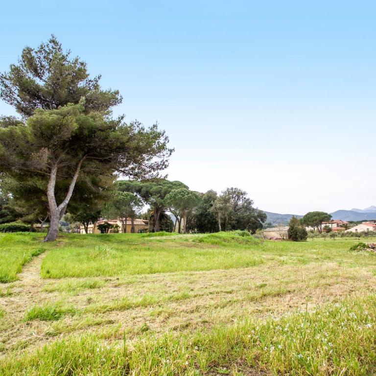 Appartamento Podere San Marco - Bilocale - Appartamento con 1 Camera da Letto - 2