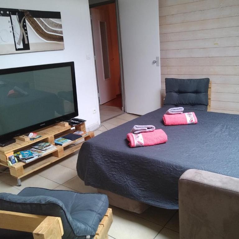Vue sur les montagnes - Appartement 2 Chambres - 16