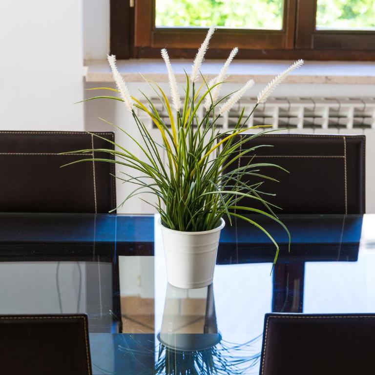 Villa Limone Vasto - Casa Vacanza con Giardino Privato - - Casa a Schiera con 2 Camere da Letto - 27