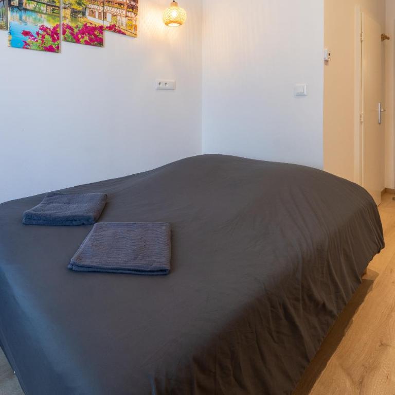 Suite - Strasbourg Gare - Petite France - Commerces à Proximité - One-Bedroom Apartment - 4