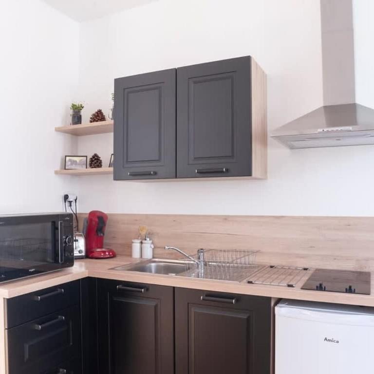 Le Saint-étienne studio moderne et lumineux - Appartamento con 1 Camera da Letto - 3