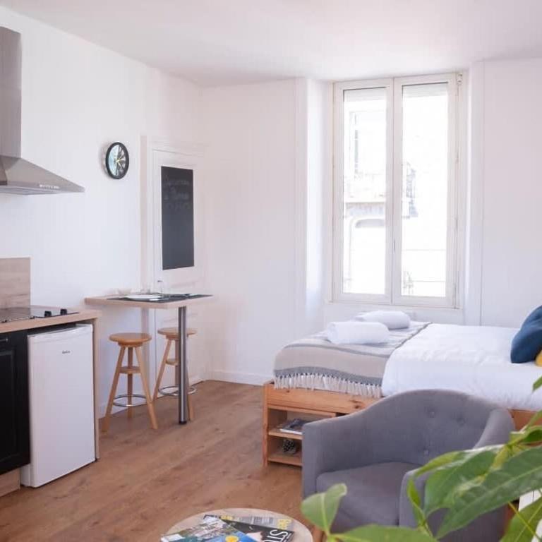 Le Saint-étienne studio moderne et lumineux - Appartamento con 1 Camera da Letto - 4