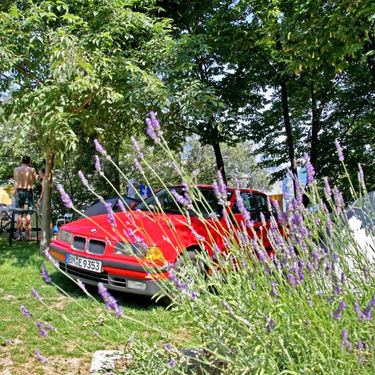 Camping Alpino - Nature Village - Medium Empty Lot (Bring your own tent or van) - 9