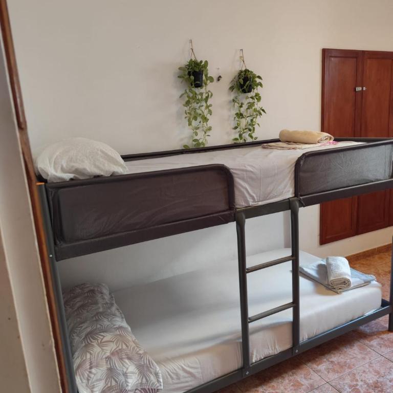 Hostel Banana Surf House - Cama en habitación compartida mixta de 4 camas - 15