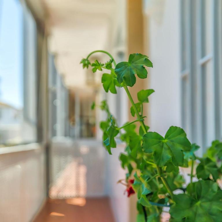 Altillo Sweet Home & Parking incluido - Apartamento de 2 dormitorios - 37