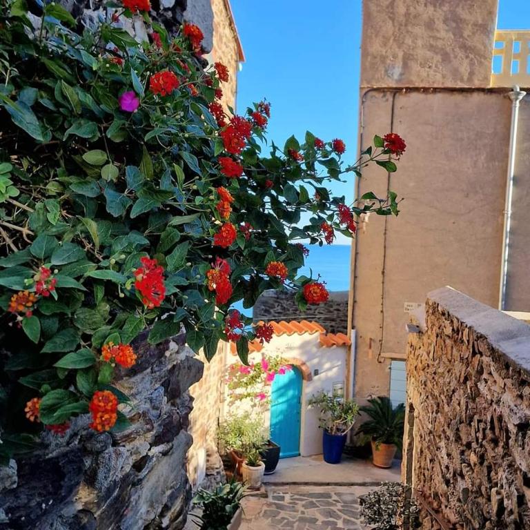 Idéal famille et amis, 2 logements en 1 maison, patio privé, parking, quartier des peintres et plages à pieds - Casa de 3 dormitorios - 8