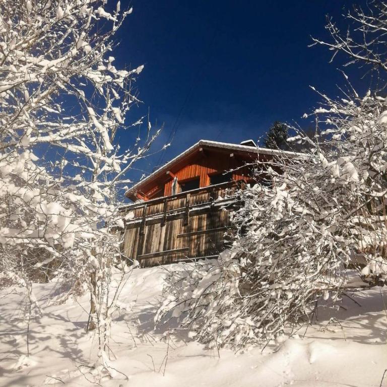 Chalet St Bernard - Chalet - 43