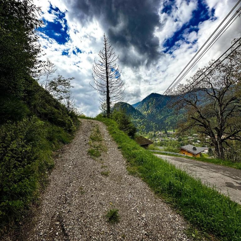 Chalet St Bernard - Chalet - 34