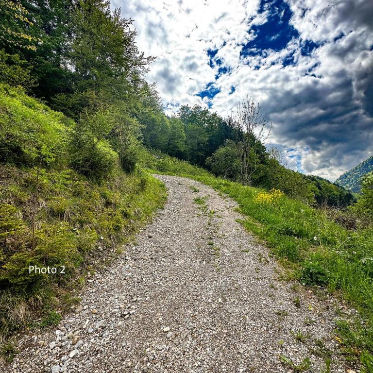 Chalet St Bernard - Chalet - 35