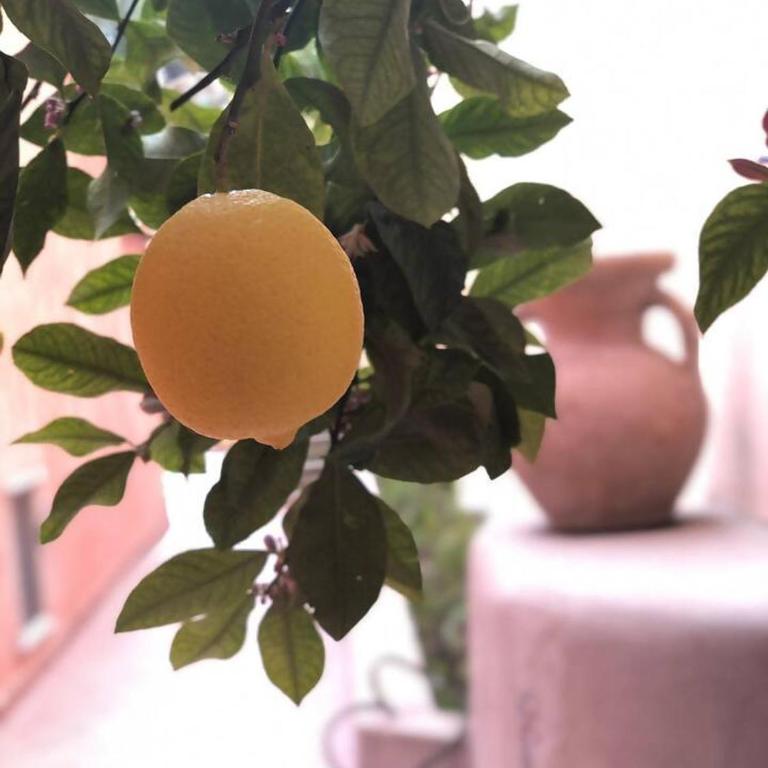 A casa dei Sasso: week end romantico a Positano! - Appartamento con 1 Camera da Letto - 15